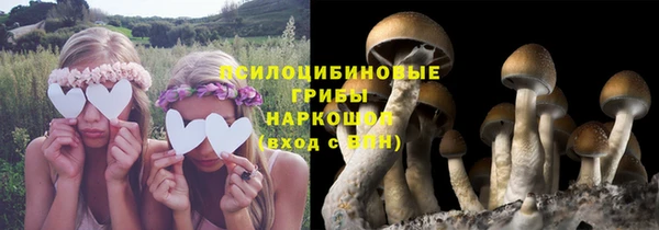 тгк Покачи
