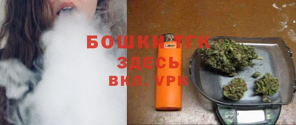 spice Пересвет