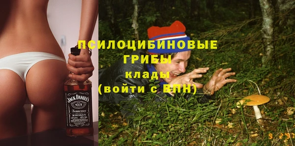 spice Пересвет