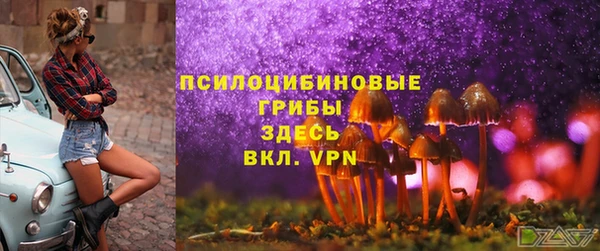 спиды Пестово