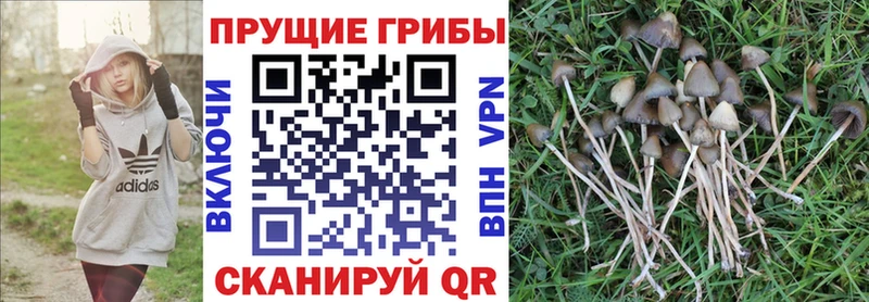 MEGA как зайти  Россошь  Галлюциногенные грибы мухоморы 