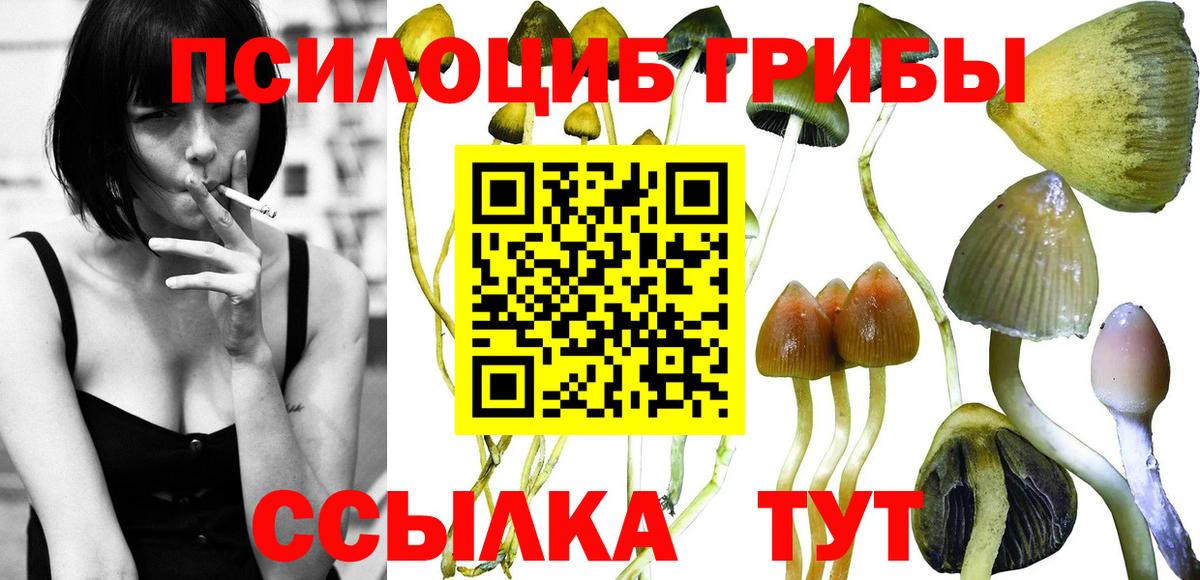 ЭКСТАЗИ  A-PVP СОЛЬ кристаллы  Вход с VPN  Россошь  МЕТАДОН  Гашиш  Канабис  Cocaine  МЕФ  