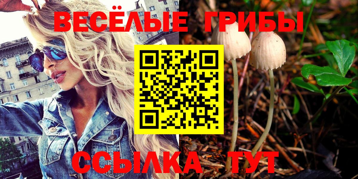 Галлюциногенные грибы ЛСД  Вход с VPN  Россошь 