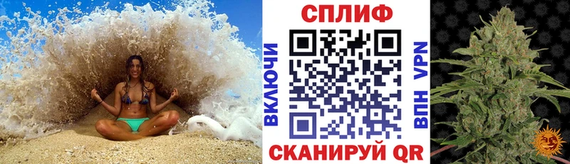 Канабис план  mega ссылка  Россошь 